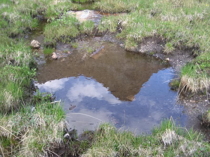 Reflection of Pigeon Peak