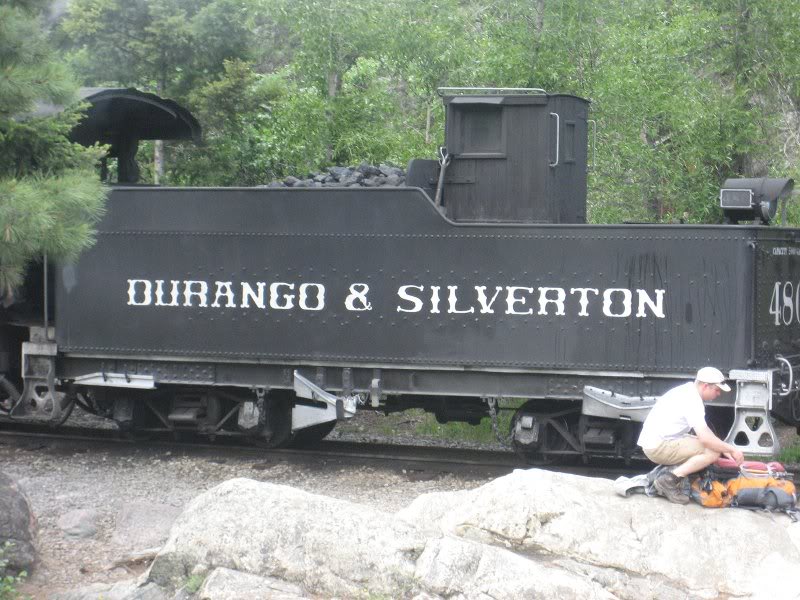 Train at Needleton Stop