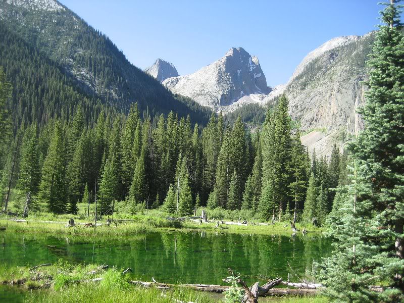 Arrow from Beaver Ponds