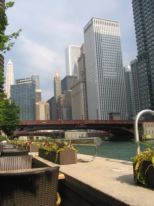 great view looking toward the lake