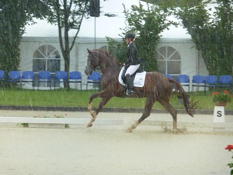 Lindner von Laudabilis x Beltain