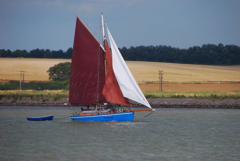xyz HRH Gaffer at Trimley Marshes 000001_105