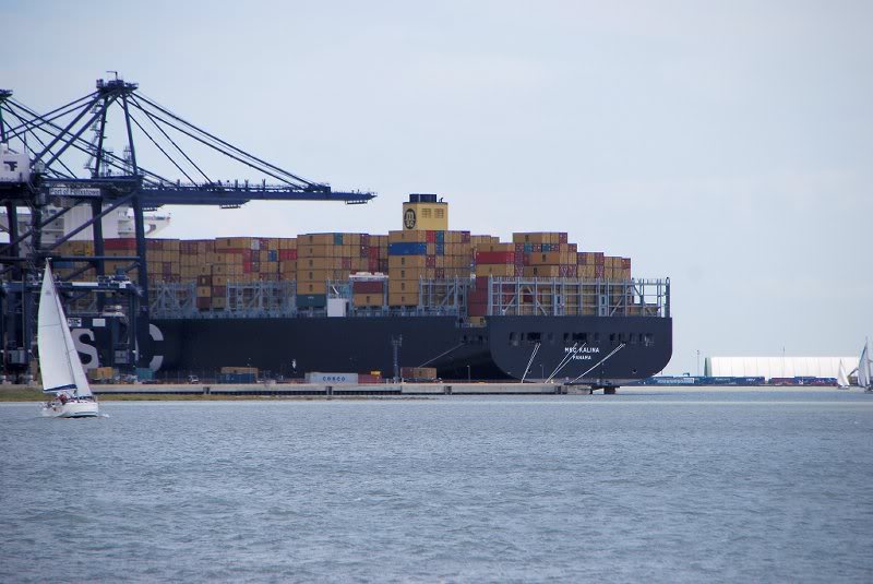 xyz HRH MSC Kalina 000001_66