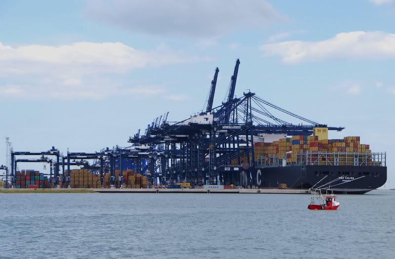 xyz HRH MSC Kalina 000001_73