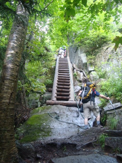 Kevin and Judy are at the top of the ladder, Tony gets ...