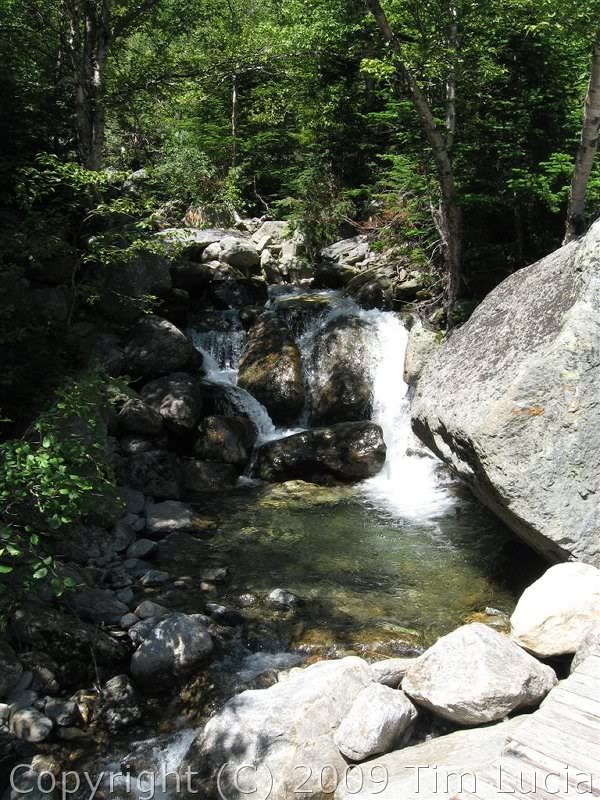 Bridge over Cutler River