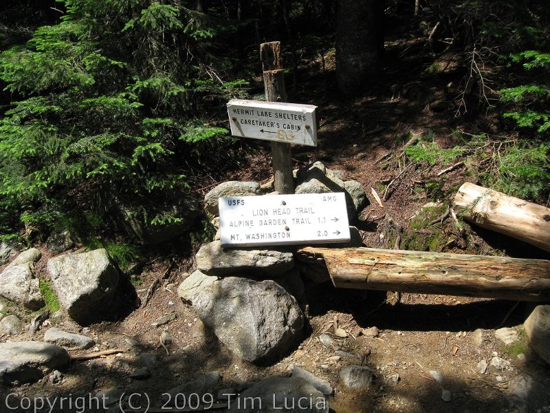 Jct. Lion's Head Trail