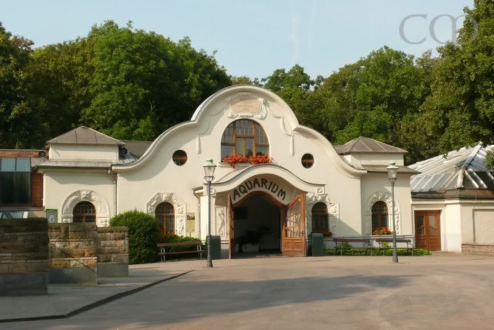 Beautiful Aquarium house...