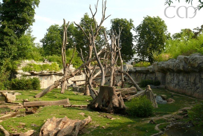 In this beautiful enclosure?