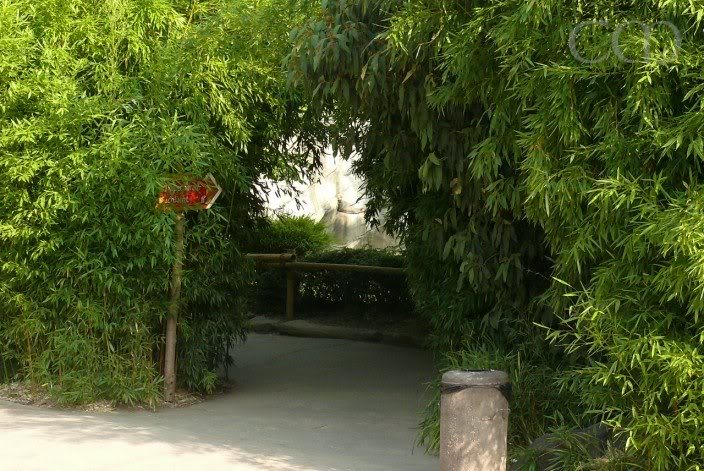 Who is living behind this pretty entrance?