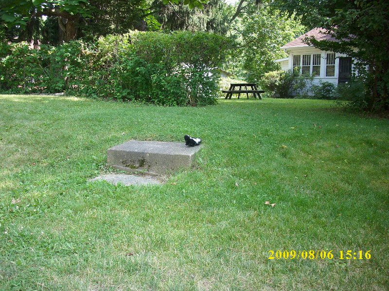 i made mr. mischief reverse so we could get a look