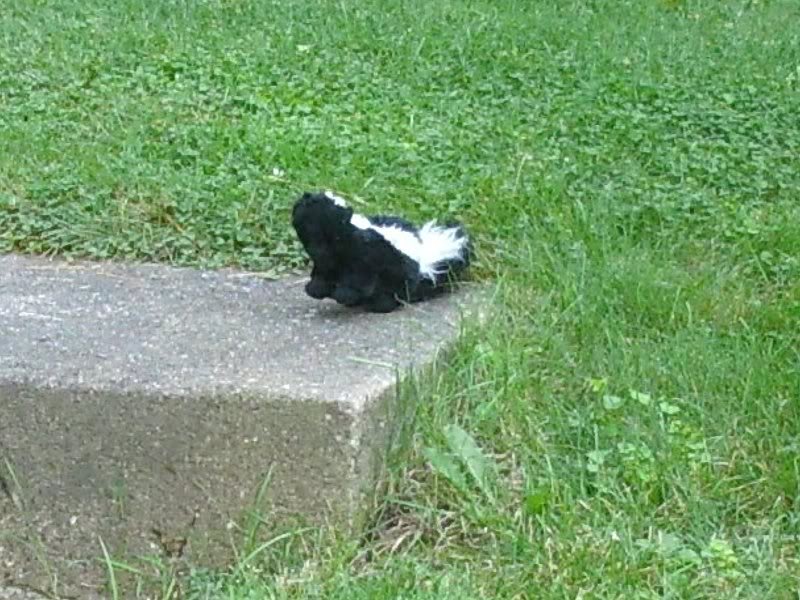 it was a freakin beanie baby skunk!!!