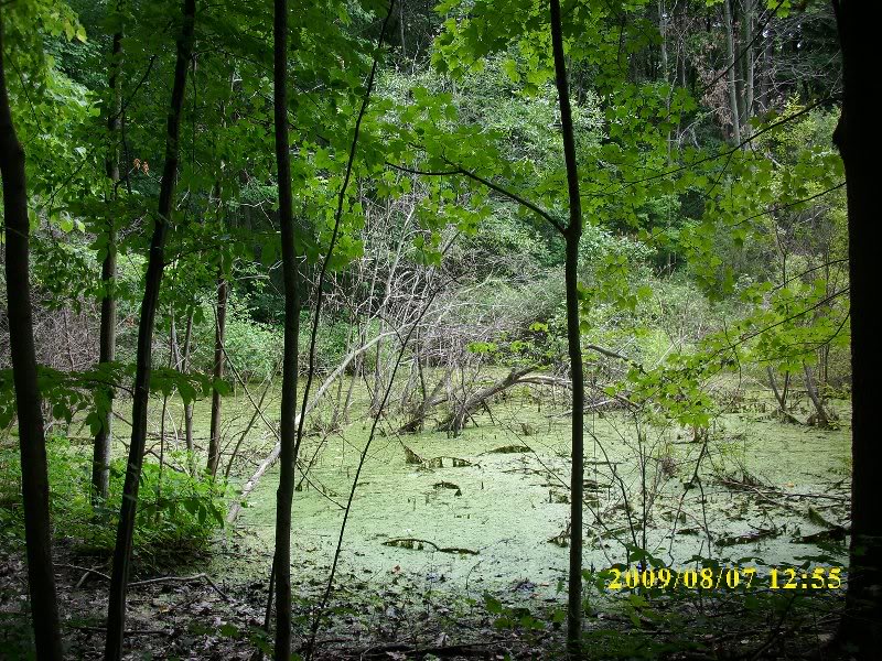 the main trail was right behind our campsite!!!