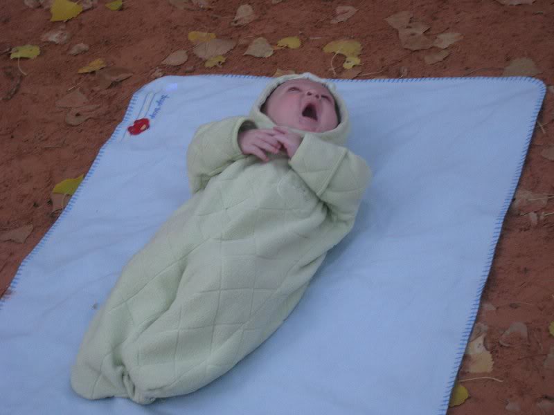 220044790004191 5458