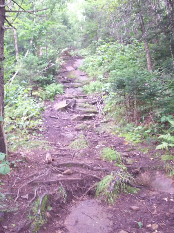 Fairly typical of this trail