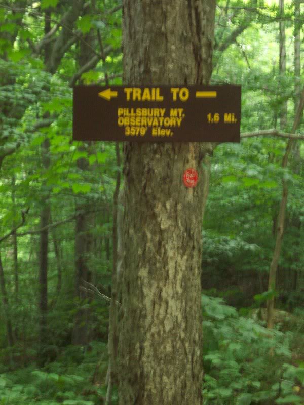 Just a short little hike.