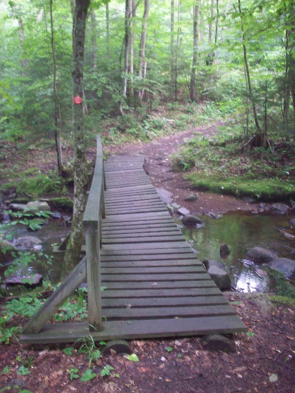 Nice little bridge at start of trail.