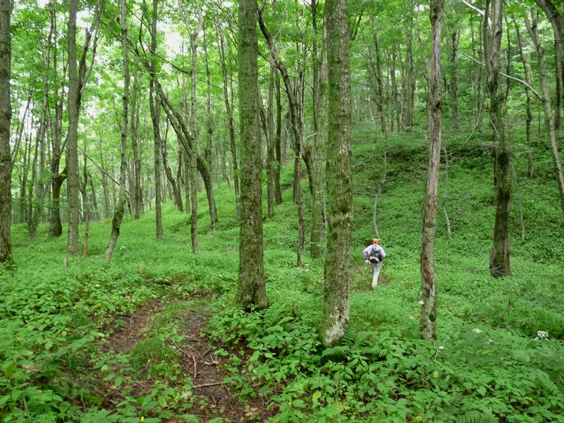 Mt Aeolus below summit cone