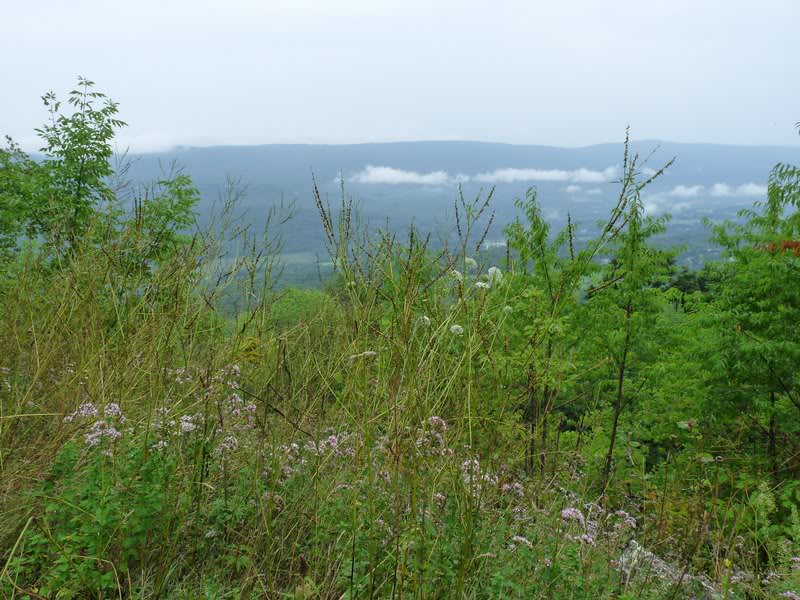 view towards Manchester
