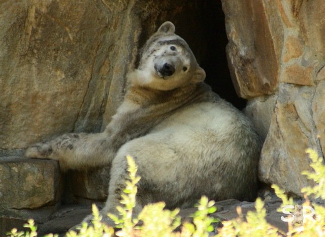 HiHi :-) sorry fuers nuckern