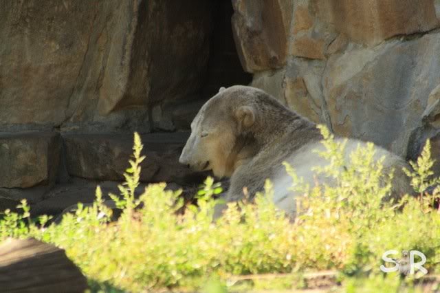 aber liegen ist viel besser :-)