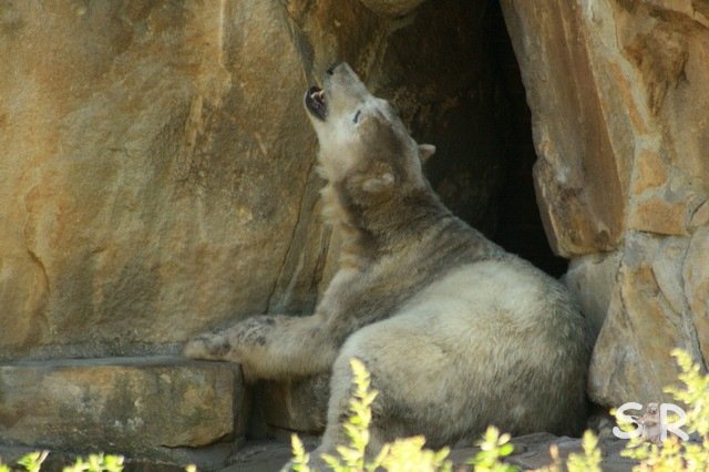 aber wenn ich so ein Hunger hab kann es schon mal passi...