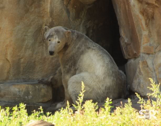 maaaaaaaaaaannn nnnnooooooooooo o