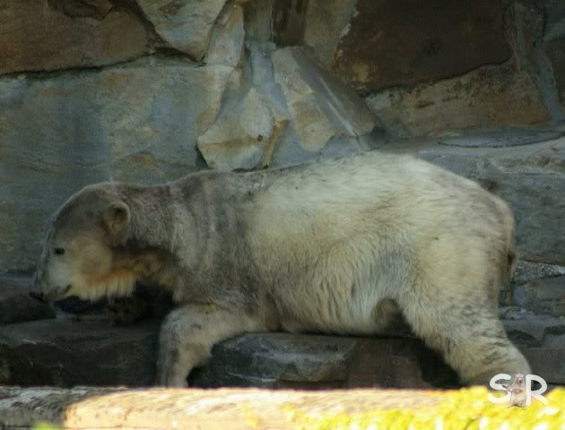 ob ich doch mal aufstehe?