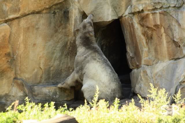 wann geht denn nur die Tuer auf?