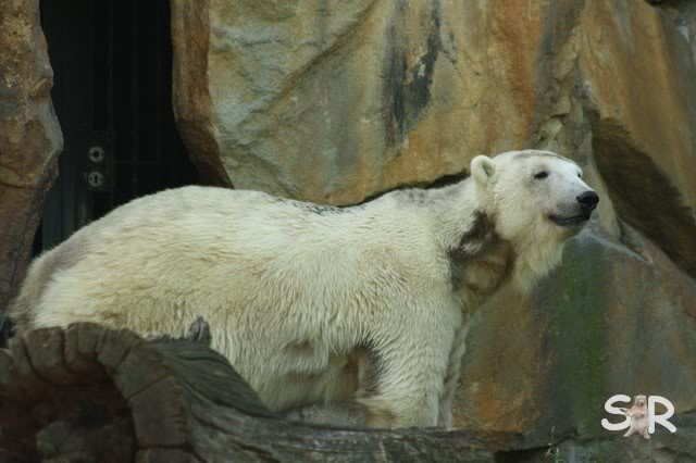 da komme ich doch mal euch :-)