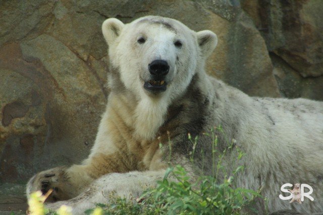 das kann ich mir leisten :-)