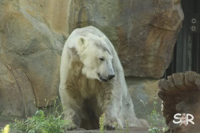 es ist so gar nichts leckeres zu riechen :-)