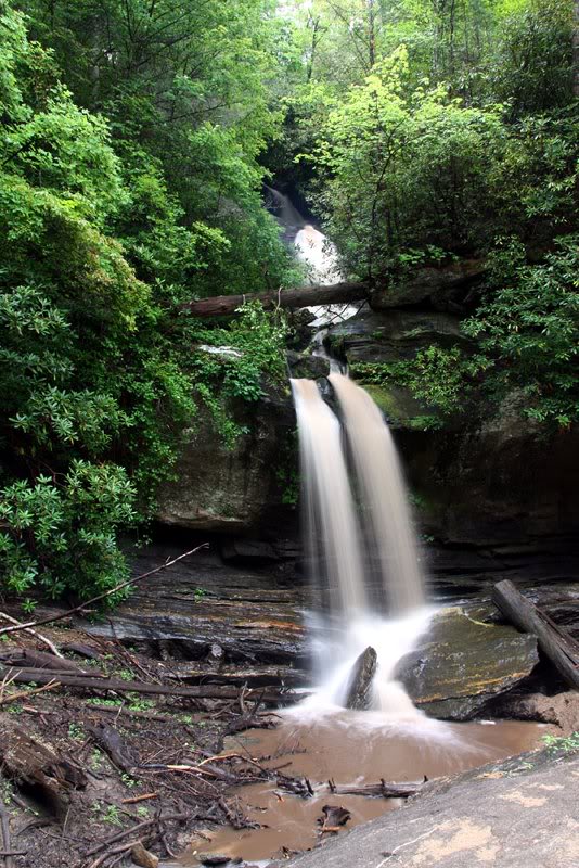 Wright Creek Falls - Verticle composition