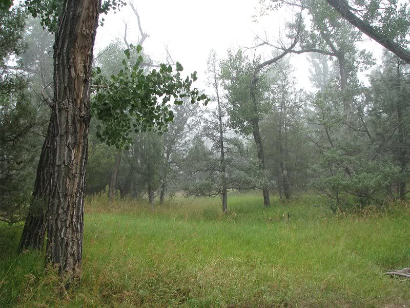 Campground on a misty orning