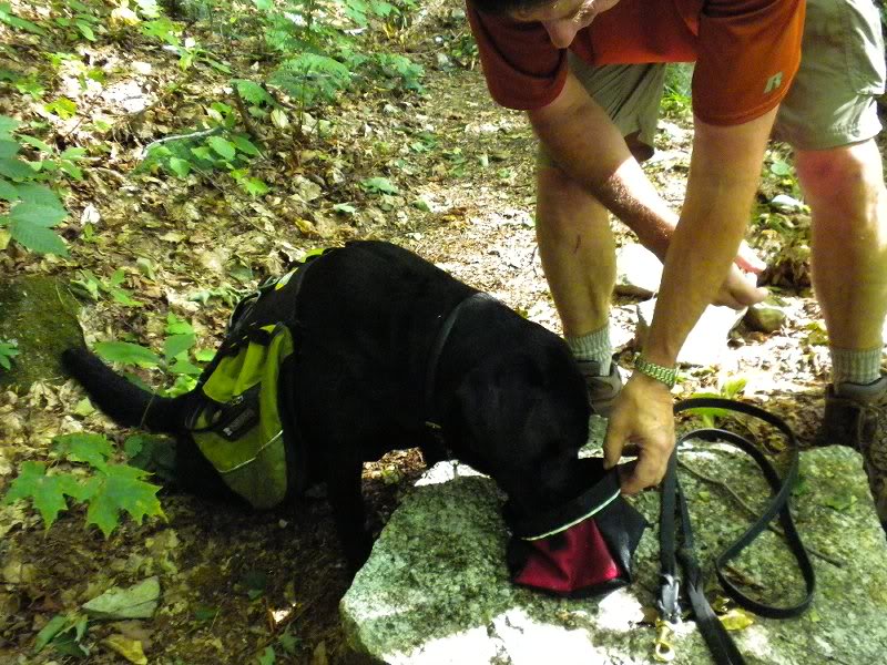 Dooley needs a break