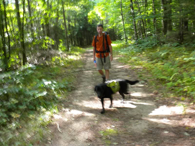 Dooley sets the pace