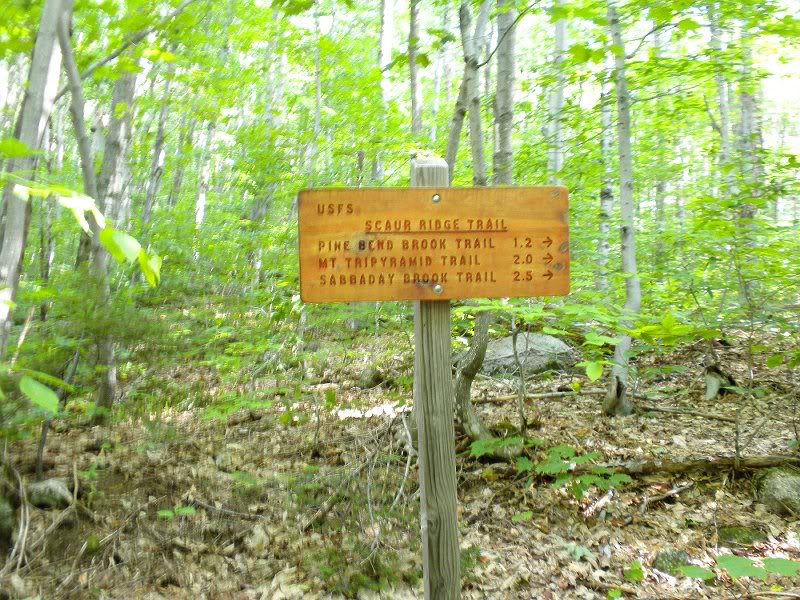 Starting up the Scaur Ridge Trail