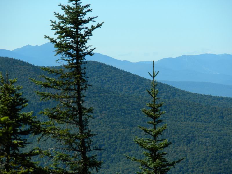 Presidents in the distance