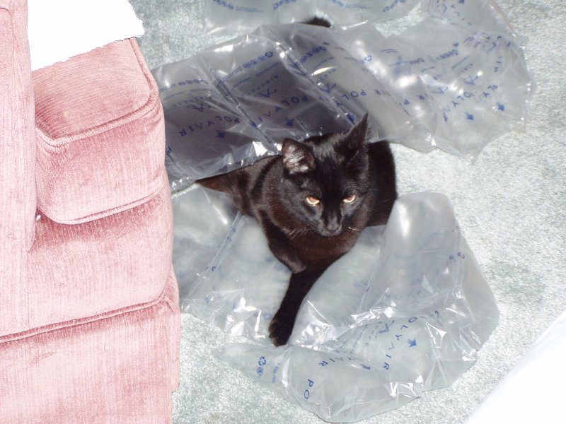 Magic in bubble wrap