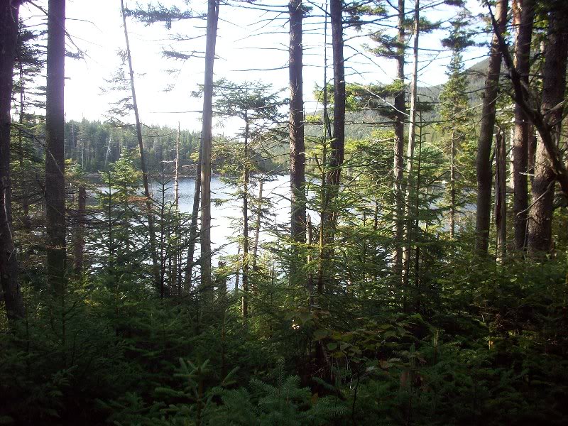 Bradley Pond