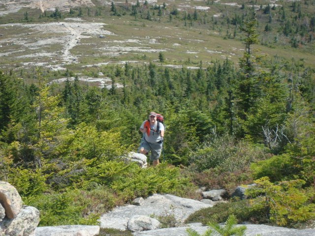 New Hampshire (Brian) emerges from the trees