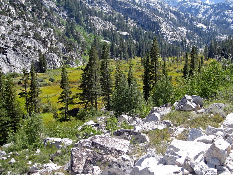 Meadow past Barney Lake