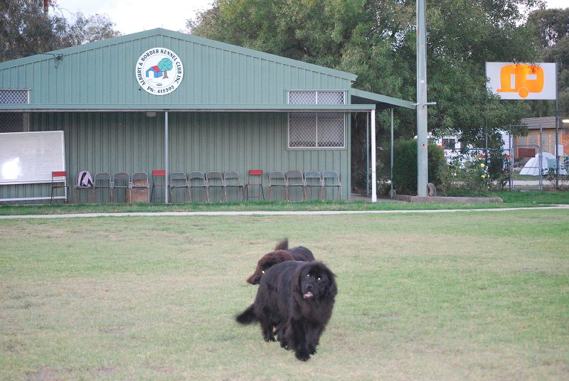 Border Kennel Club, Canteen