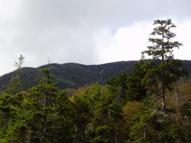 Lookin up to East Peak from GP.