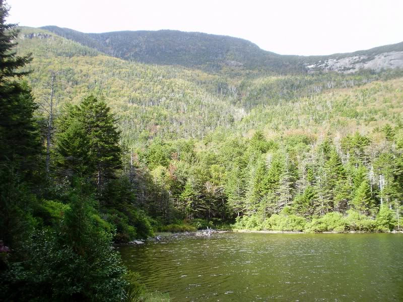 What I'd be climbing