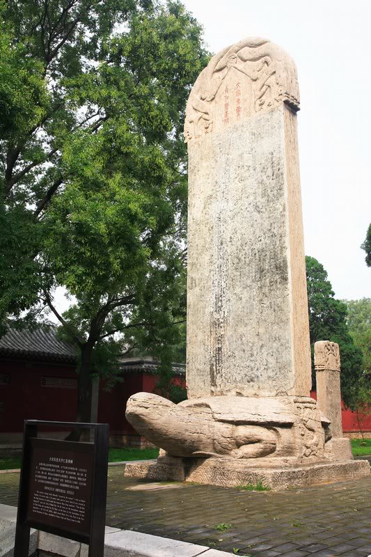 ���q���j������� u�v�t�l�O