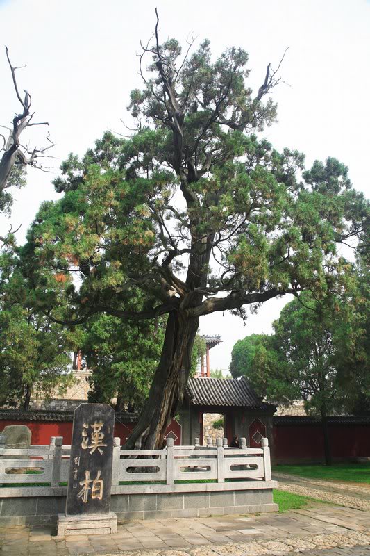 �����~�Z������� A�����O2100�~