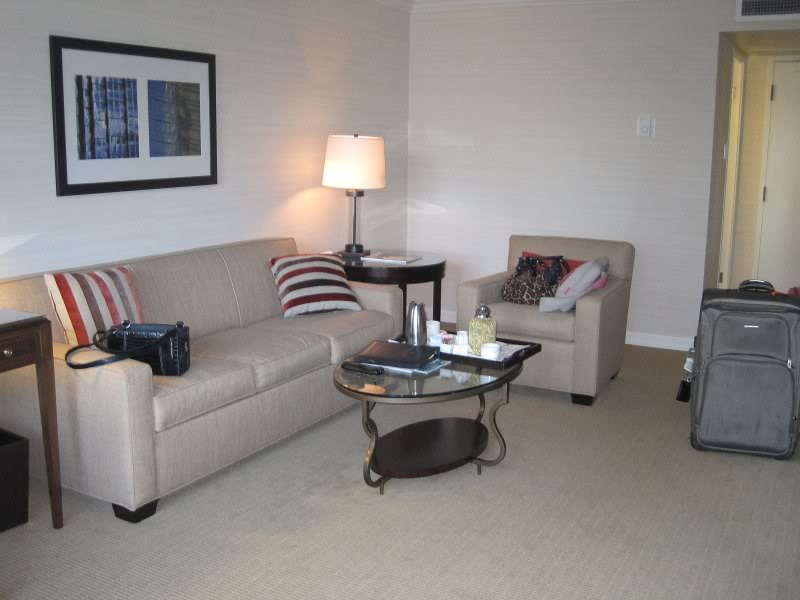 le salon de notre chambre