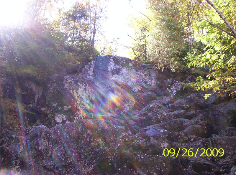 ALGONQUIN-IROQU OIS 003