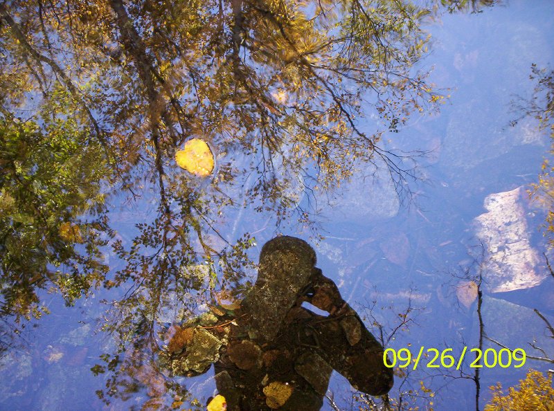 ALGONQUIN-IROQU OIS 006